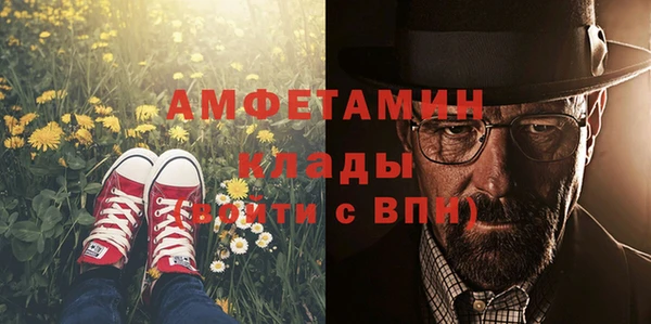 СК Алексин