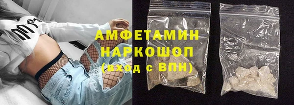 СК Алексин